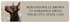 Doberman Pinscher Address Labels Image 4